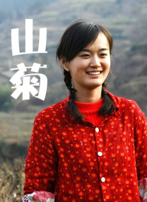 轻轻草在线视频